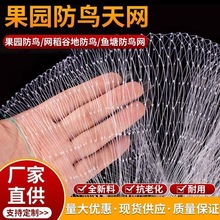 Դ�^�S�ҼӴ��������B�W�w�C���~�����ݾW������@���B�W