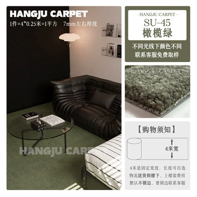 Room, Home, Live Streaming Room, Car Carpet - plain-45-olive-green