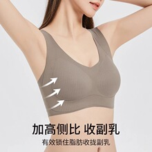 浪沙同款提拉防下垂内衣大胸显小无痕美背固定文胸小胸聚拢收副乳