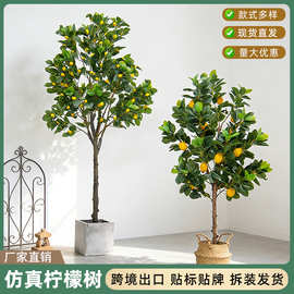 跨境仿真绿植柠檬树盆栽北欧风室内客厅大型落地摆件装饰植物假树