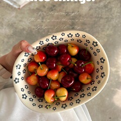 日本式のかわいい陶磁器の浴槽の碗の家庭用の碗の単一のスープの碗の野菜のサラダの碗の陶磁器の果物の碗のアイデアの磁器の碗
