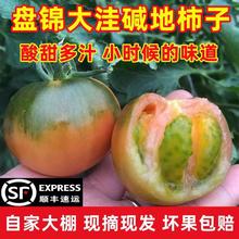 ��S���]�P�\�|�������FƤ�������t��ˮ�����r���|��ݮ������Ȼ��