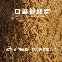 口蘑提取物10:1 口蘑粉口蘑提取粉末 源头厂家 现货供应