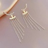 Long small design earrings with tassels, suitable for import, light luxury style, internet celebrity