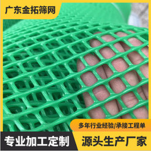 厂家销售塑料平网养殖网养鸡网养鹅养鸭养蜂蚕网塑料养殖育雏胶网