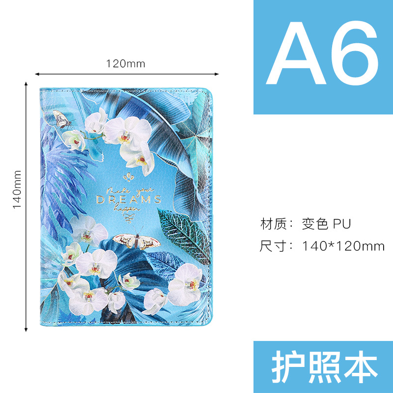 Passport Set Figure 8