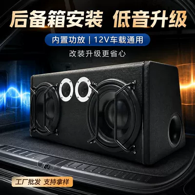 Source Factory 8inch 10inch: Car speaker/subwoofer