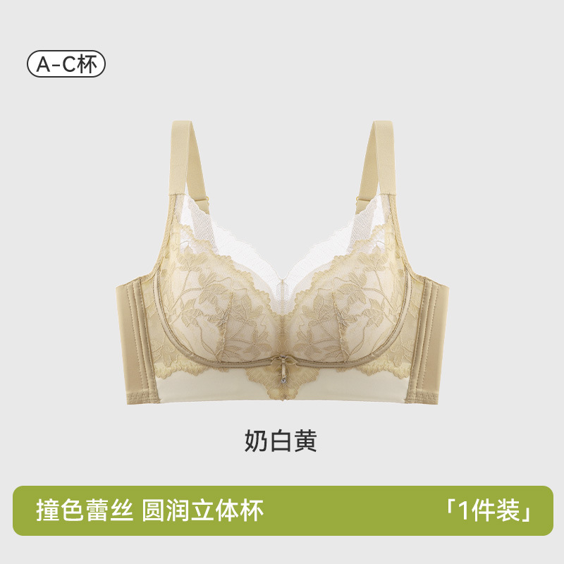 Nueva ropa interior de encaje para mujer, senos pequeños, grandes y sin costuras