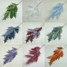 ɺ���~ ��c�����~��ɭϵܛ�b �Ƶ��Y���b� ����·���廨�S��