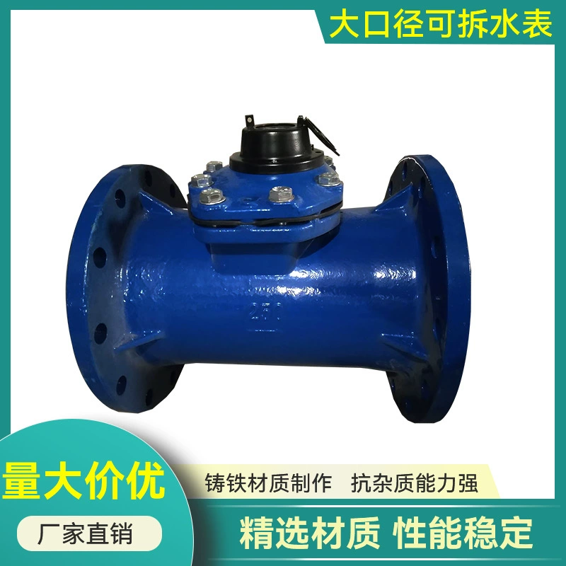 Промышленный водомер большой производительности из Нинбо, фланцевый, роторный, инженерного класса, съемный, сухого типа, 2 дюйма, 2,5 дюйма.