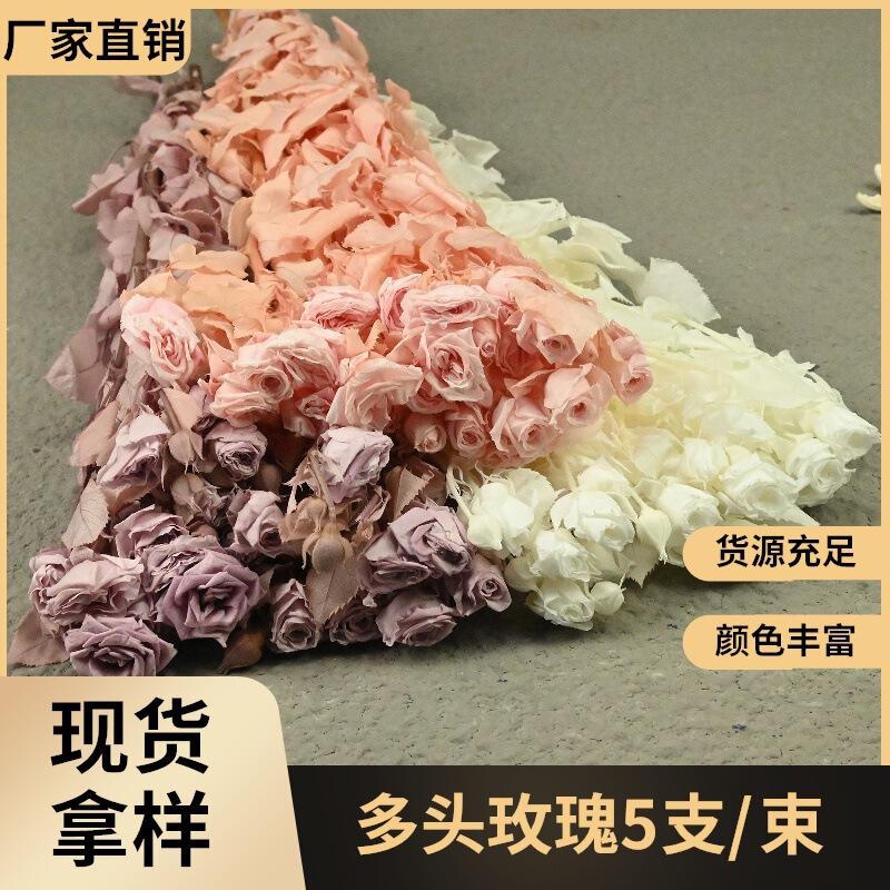Preserved Real Flowers Multi-Headed Roses 5 Stems Dried Flowers Home Store Decoration Flower Arrangement DIY Resin Photo Frame Flower Materials