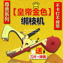 2022�¿����ѽ�֦�C���������t�����ѽ������٘������C�����C�z��