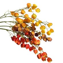 \滨ҾbƷ|ٻc·ý羳