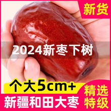 红枣新疆特级和田大枣特大一级优质大枣子干果礼盒5斤特产旗舰店