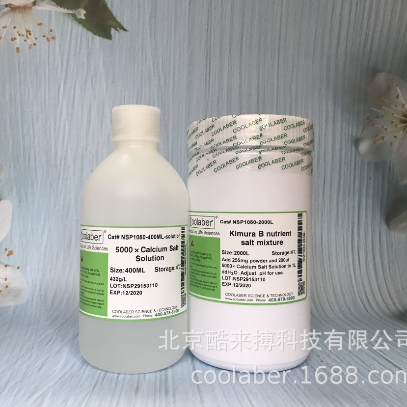 缺磷改良霍格兰大量元素（干粉+浓缩液）