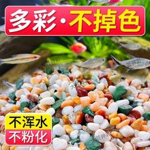 天然五彩石雨花石鱼缸造铺底盆栽水培多肉植物铺面装饰小石头