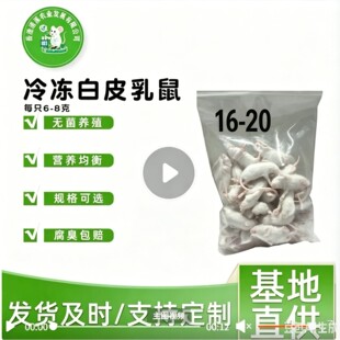 16-20g �󁆳Ɂ����w�r���С����ι�߽��ܜ���������b����@��