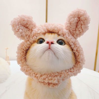 Headgear Kitty Headgear lovely Plush Little Bear Headgear Pets Small dogs Dogs photograph Funny TG Accessories