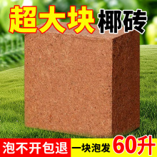 9���KҬ�u�I�B���B����Ҭ�Ӛ�����Ү�u�N������Ó�}Ҭ���u����