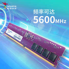 威.刚内存条DDR5 5600 台式机万紫千红 高性能兼容性强高频率 单