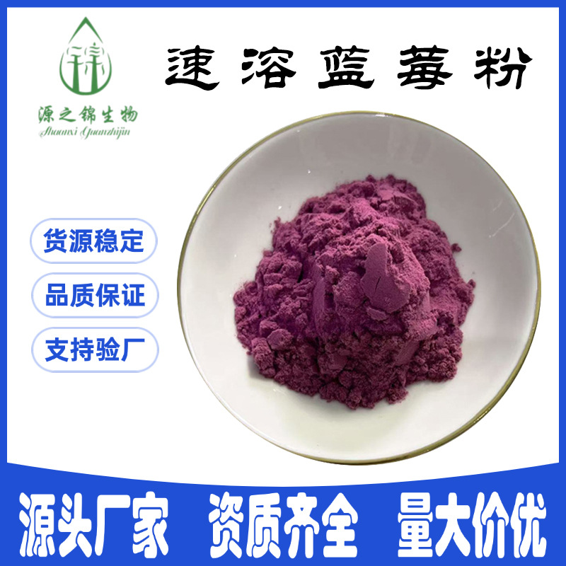 蓝莓粉  蓝莓果粉 水溶 蓝莓花青素 蓝莓浓缩汁粉SC厂家现货包邮