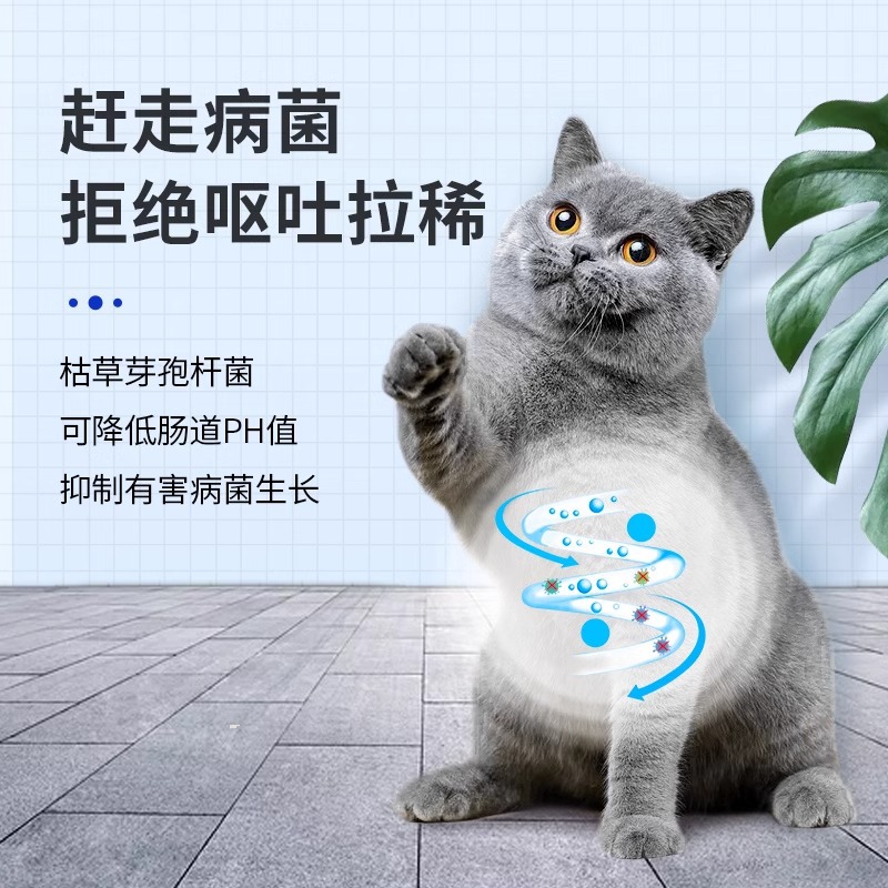 Xinzhaozhikang probióticos para mascotas para gatos y perros suplementos nutricionales para perros y gatos polvo probiótico general en stock al por mayor