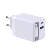 �S��GaN����承���s��65W����^ 2C+A���г����