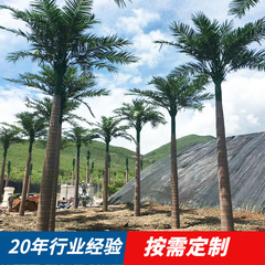 大型シミュレーションヤシの木人工大木公園博物館シミュレーション緑植造景工事屋外偽ヤシの木