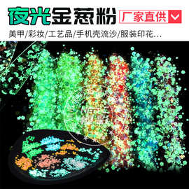 跨境夜光亮片金葱粉美甲手机壳装饰流麻流沙发光夜光闪片5g袋装