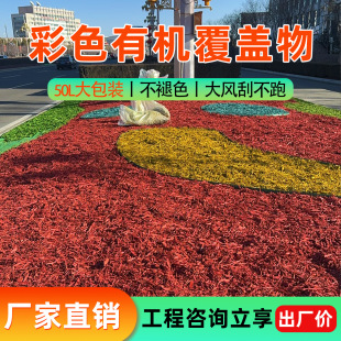 ���l��ɫľмľ�z���̾G���ЙC���w���쾰ͥԺ�Gֲ������l���w��