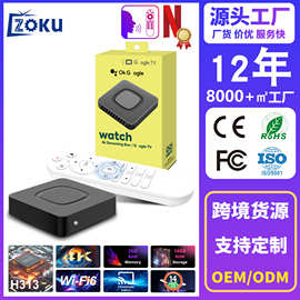 热门网络电视机顶盒全志H313高清4k无缓冲媒体播放器WiFi6电视盒