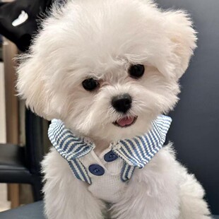 ������Ȯ���NС�w����Ȯ�L�����w���豭Ȯ���wС��Ȯ���B���ﹷ��