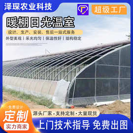 农业种植草莓蔬菜大棚养殖大棚 冬季保温种植暖棚 日光温室大棚