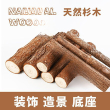ɼľ�����^��������ľ���ř�ͥԺ���ڻh�ʸ����b䘶��ľ�[��