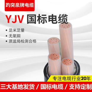 ��ͻȪ��о���z�y��оYJV22��о��|0.6/1KV��ȼ���ϻ���|��YJV