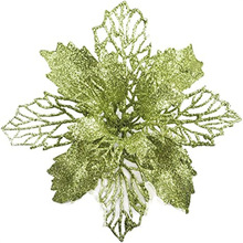 ���R�d���N�羳���ϒ���}�Q���h�}�Q���Ʒ16�b��Ʒ�Ɍ��F؛