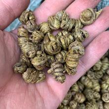 水草石斛枫斗颜色绿天宫石斛枫斗 水草枫斗干条鲜条石斛粉批发