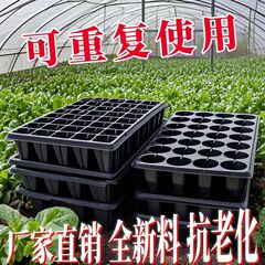 育苗穴盤育苗盤厚いPVC野菜多肉芽菜挿し木盤唐辛子苗盤いちご育苗盆