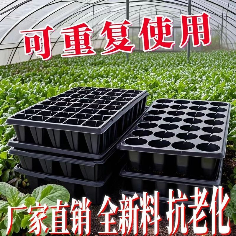 育苗穴盤育苗盤厚いPVC野菜多肉芽菜挿し木盤唐辛子苗盤いちご育苗盆|undefined