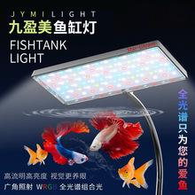 �~�ן�LED����������ˮ������Rˮ�ݸן��쾰С�A�����ƿ��{��