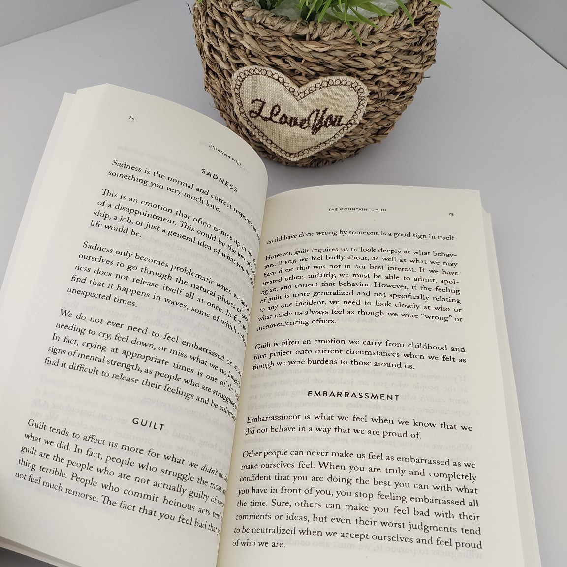 Mountain is your original English version of the mountain is you: self -transition batch discount 4