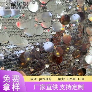 Spot 5+18cm Embroidered Sequin Fabric Sequin Fabric Clothing Bag Wedding Dress Fabric