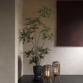 仿真绿植室内孔雀木仿生植物景观假树高端侘寂落地盆栽装饰摆件