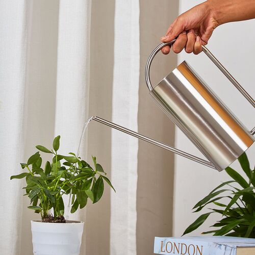 Stainless steel watering kettle long mouth sprinkler watering kettle large capacity gardening cylindrical watering kettle household flower spray kettle 1.5L