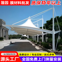 ������ꖓ�����܇ͣ܇�� ���С�^Ĥ�Y��܇�� ���|��^�tԺͣ܇��