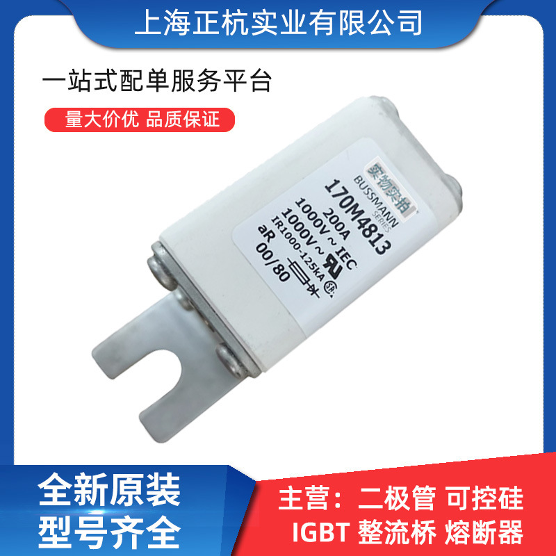 170M4813 170M4824 智能跌落式低压快速熔断器 全新原装 量大从优