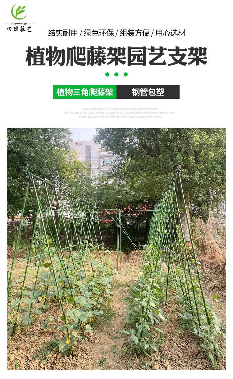 3b387746-0d75-49ba-853a-a38ef4ac7159.jpe