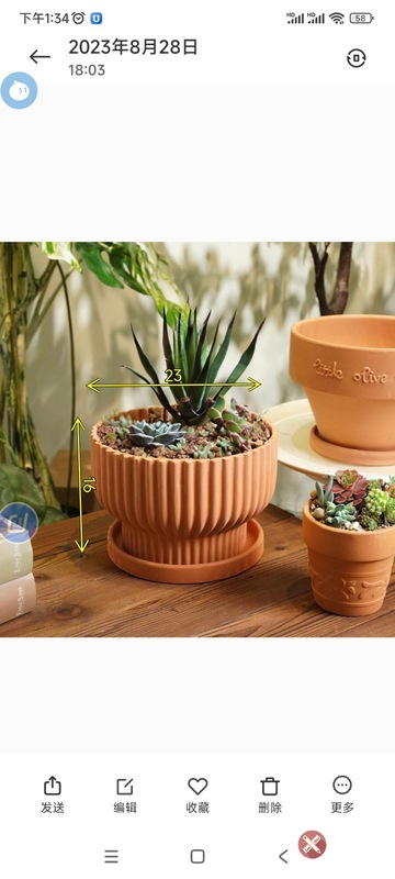 赤い陶器の植木鉢、吸水性、通気性、根腐れしない粘土トレイ、浮遊粘土ポット、大型の緑の植物多肉植物ポット|undefined