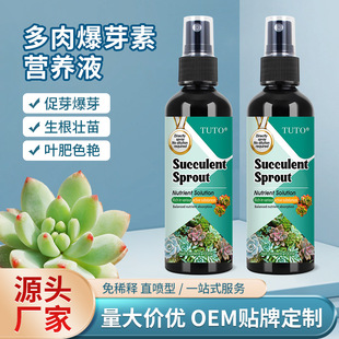 Germinator Nutrient Solution for Green Plants, Germination and Growth Promotion Fertilizer for Dwarf Plants, Fertilizer for Flowers and Succulents, Succulent Germinator