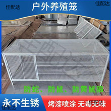 鸡笼鸽笼兔笼家禽笼防鼠防蛇防黄鼠狼家用养殖厂家直销冲孔网